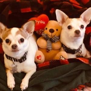 Meet your Posher, Denise